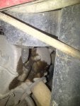 Winnipeg-20120611-00083.jpg